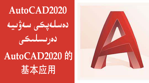 CAD 2020 - دەسلەپكى سەۋىيە